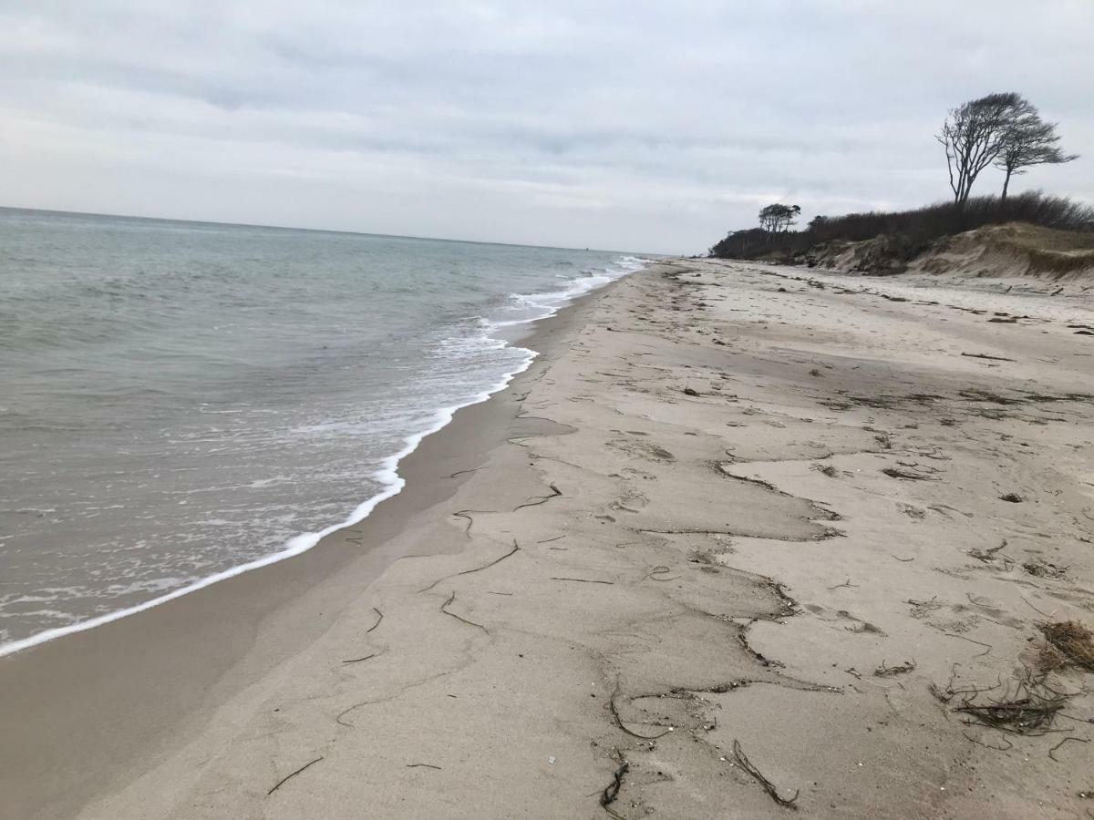 Zum Nordstrand Prerow Εξωτερικό φωτογραφία